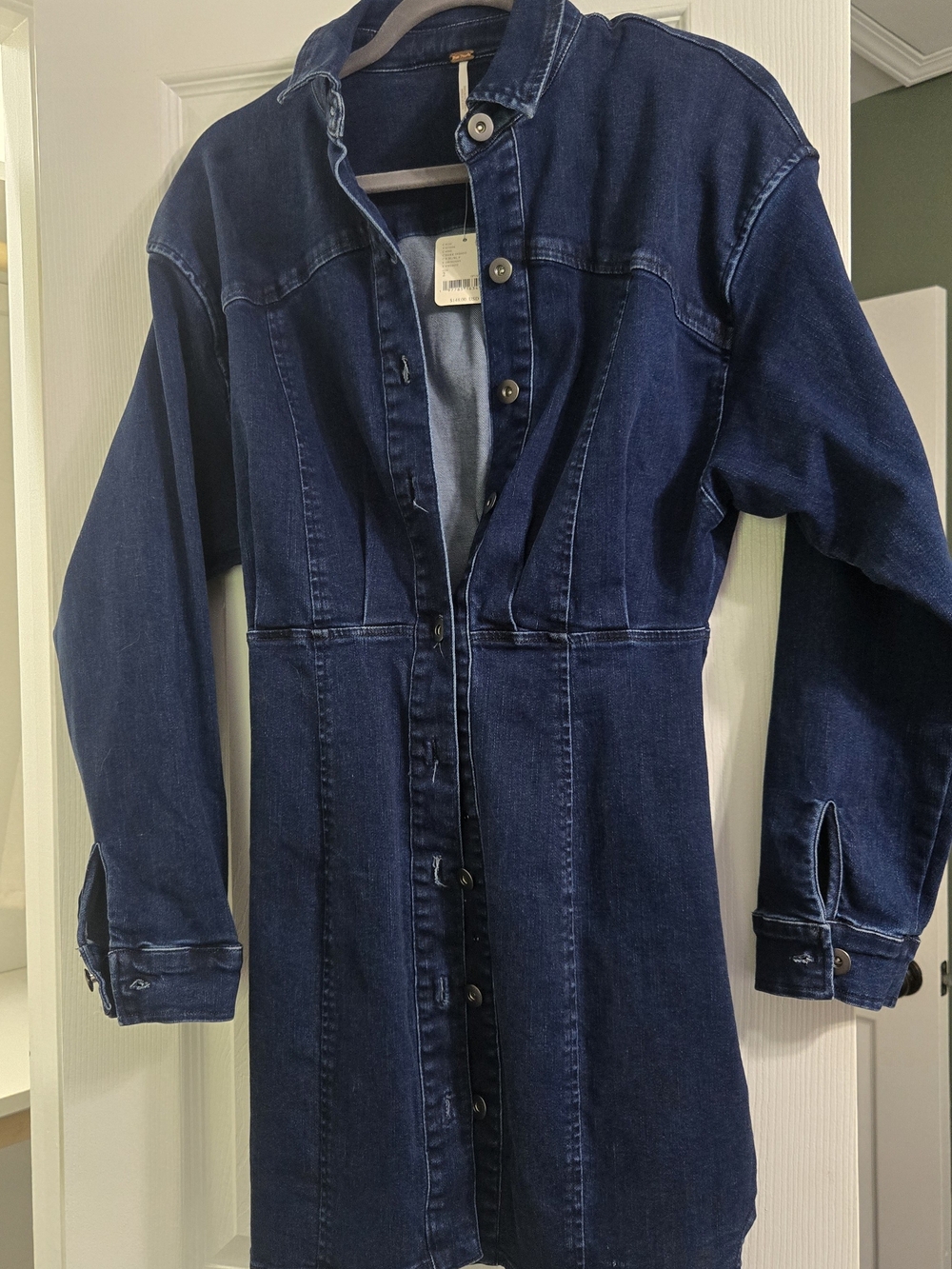 Free People Dark Indigo Denim Button-Front Dress